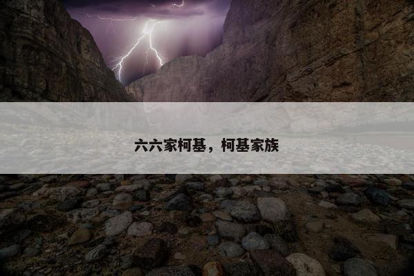 六六家柯基，柯基家族