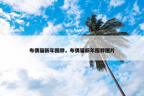 布偶猫新年围脖，布偶猫新年围脖图片