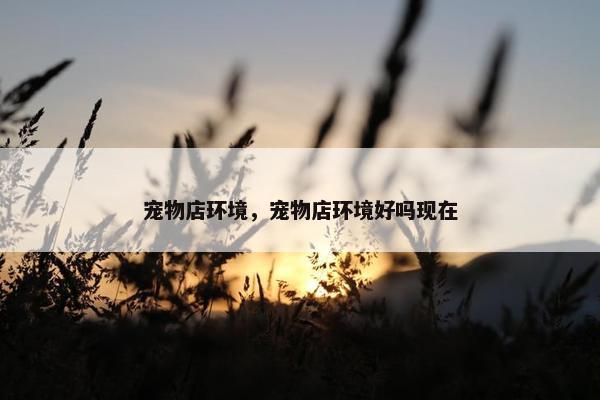 宠物店环境，宠物店环境好吗现在