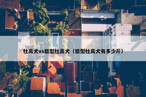 杜高犬vs巨型杜高犬（巨型杜高犬有多少斤）