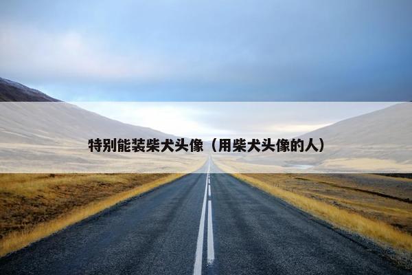 特别能装柴犬头像（用柴犬头像的人）