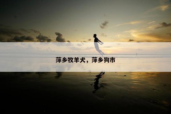 萍乡牧羊犬，萍乡狗市