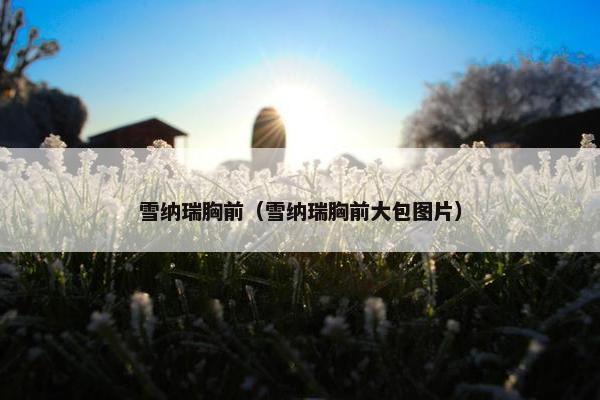 雪纳瑞胸前（雪纳瑞胸前大包图片）
