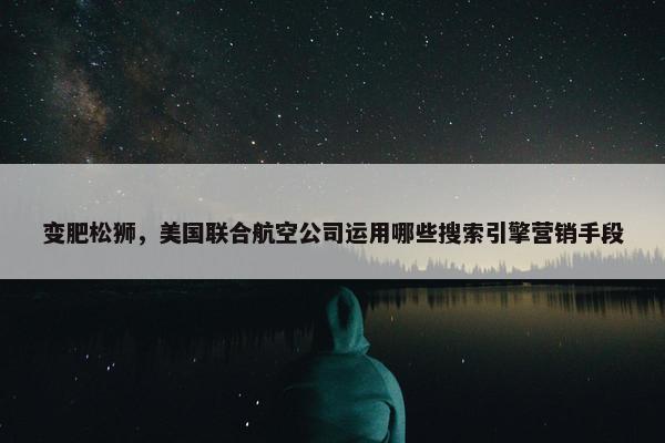 变肥松狮，美国联合航空公司运用哪些搜索引擎营销手段