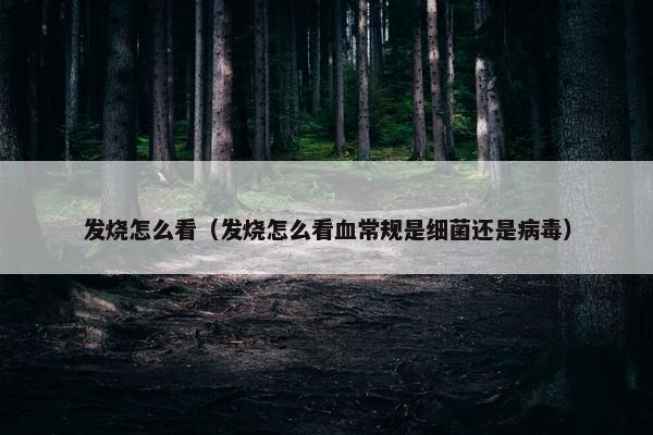 发烧怎么看（发烧怎么看血常规是细菌还是病毒）