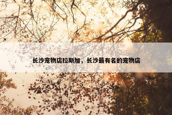 长沙宠物店拉斯加，长沙最有名的宠物店
