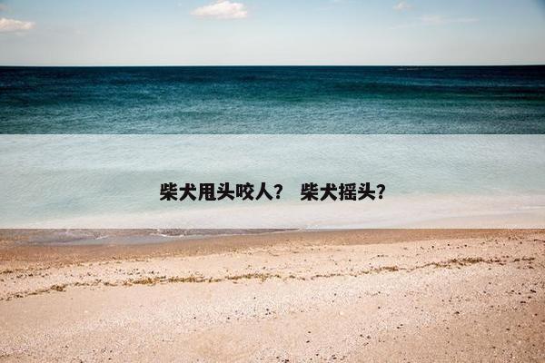 柴犬甩头咬人？ 柴犬摇头？