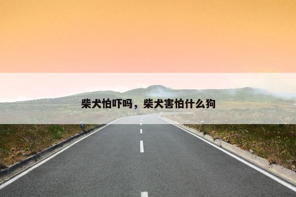 柴犬怕吓吗，柴犬害怕什么狗