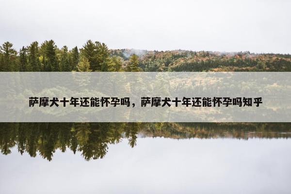 萨摩犬十年还能怀孕吗，萨摩犬十年还能怀孕吗知乎