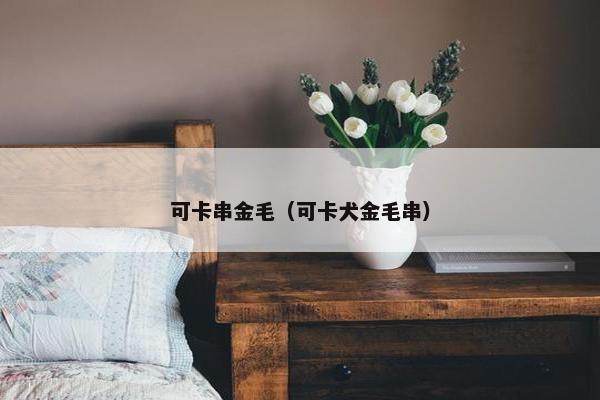 可卡串金毛（可卡犬金毛串）