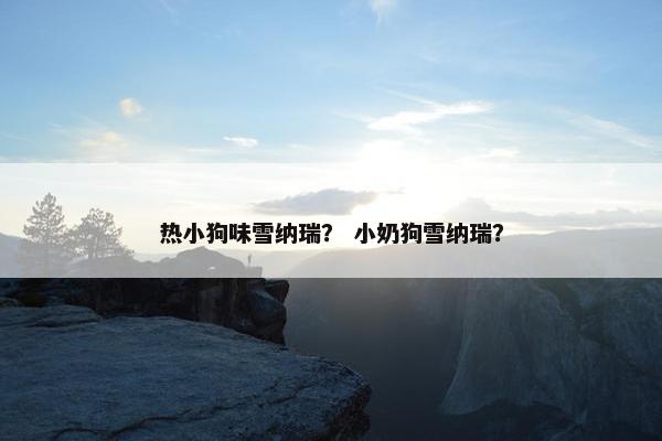 热小狗味雪纳瑞？ 小奶狗雪纳瑞？