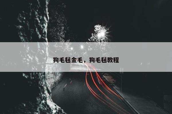 狗毛毡金毛，狗毛毡教程
