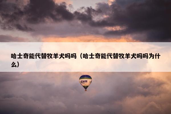 哈士奇能代替牧羊犬吗吗（哈士奇能代替牧羊犬吗吗为什么）
