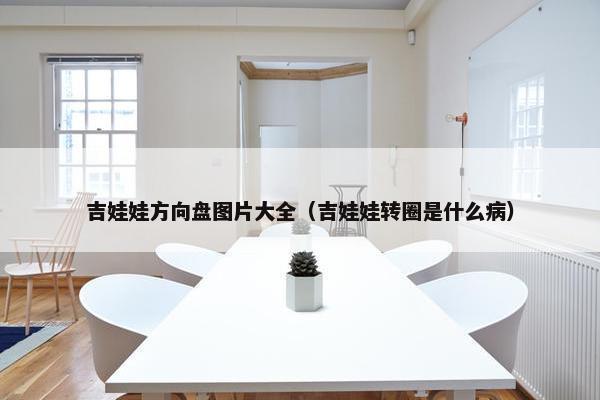 吉娃娃方向盘图片大全（吉娃娃转圈是什么病）