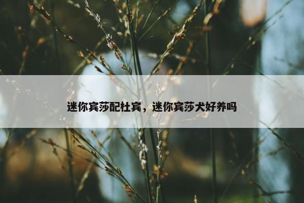 迷你宾莎配杜宾，迷你宾莎犬好养吗