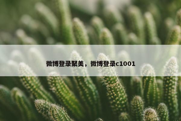 新浪