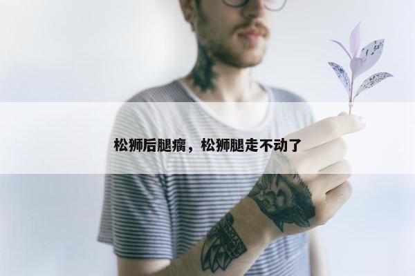 松狮后腿瘸，松狮腿走不动了