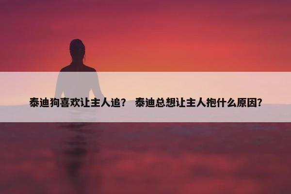 泰迪狗喜欢让主人追？ 泰迪总想让主人抱什么原因？