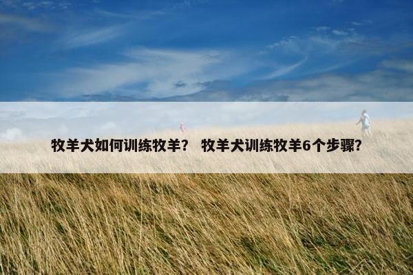 牧羊犬如何训练牧羊？ 牧羊犬训练牧羊6个步骤？