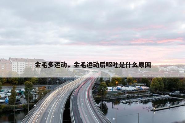 金毛多运动，金毛运动后呕吐是什么原因
