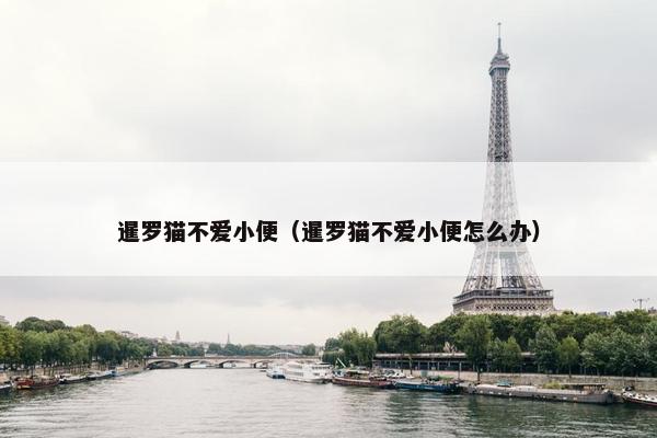暹罗猫不爱小便（暹罗猫不爱小便怎么办）