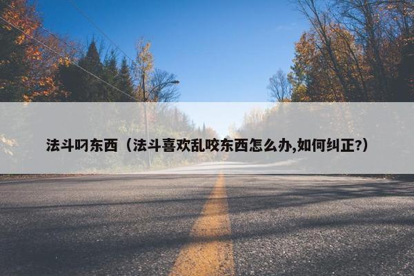 法斗叼东西（法斗喜欢乱咬东西怎么办,如何纠正?）