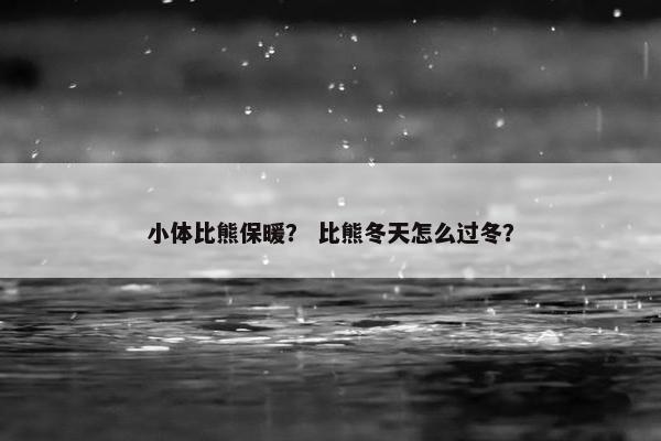 小体比熊保暖？ 比熊冬天怎么过冬？