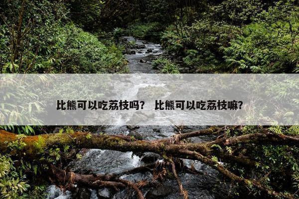 比熊可以吃荔枝吗？ 比熊可以吃荔枝嘛？