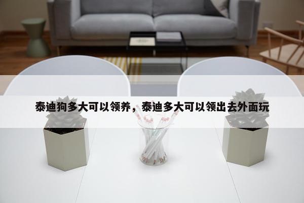 泰迪狗多大可以领养，泰迪多大可以领出去外面玩