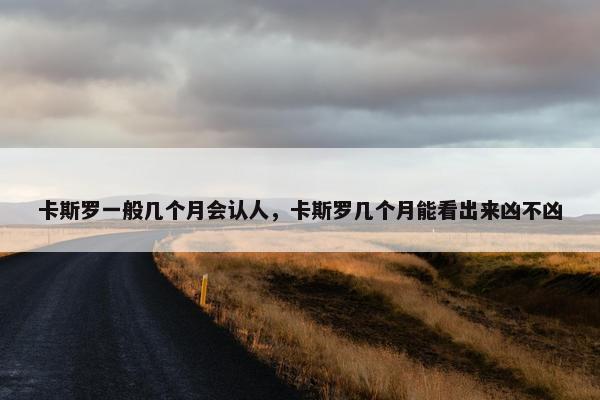 卡斯罗一般几个月会认人，卡斯罗几个月能看出来凶不凶
