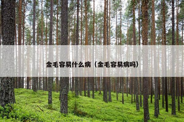 金毛容易什么病（金毛容易病吗）