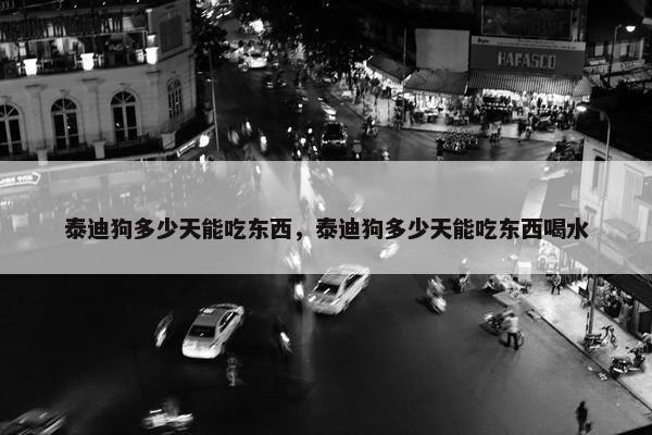 泰迪狗多少天能吃东西，泰迪狗多少天能吃东西喝水