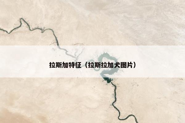 拉斯加特征（拉斯拉加犬图片）