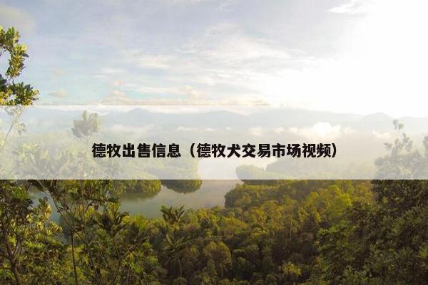 德牧出售信息（德牧犬交易市场视频）