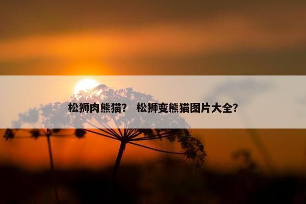 松狮肉熊猫？ 松狮变熊猫图片大全？