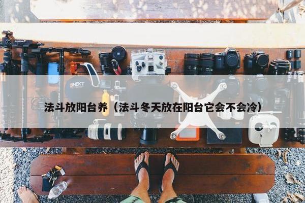 法斗放阳台养（法斗冬天放在阳台它会不会冷）