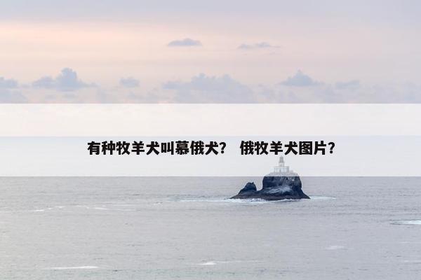 有种牧羊犬叫慕俄犬？ 俄牧羊犬图片？