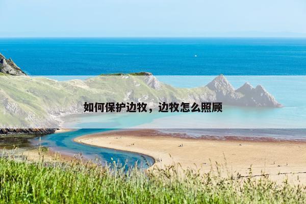 如何保护边牧，边牧怎么照顾