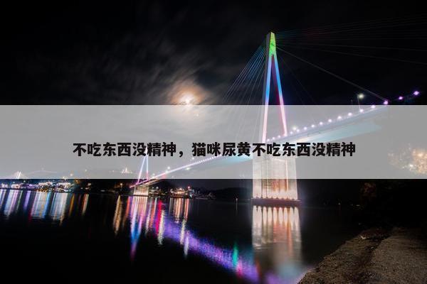 不吃东西没精神，猫咪尿黄不吃东西没精神