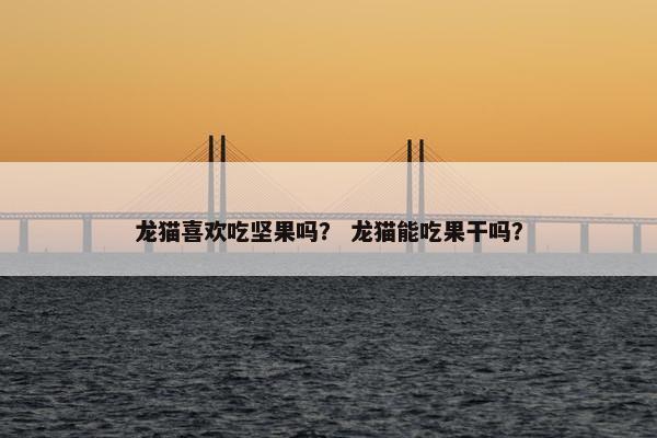 龙猫喜欢吃坚果吗？ 龙猫能吃果干吗？