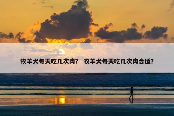牧羊犬每天吃几次肉？ 牧羊犬每天吃几次肉合适？