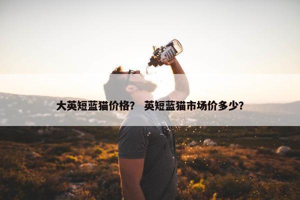 大英短蓝猫价格？ 英短蓝猫市场价多少？