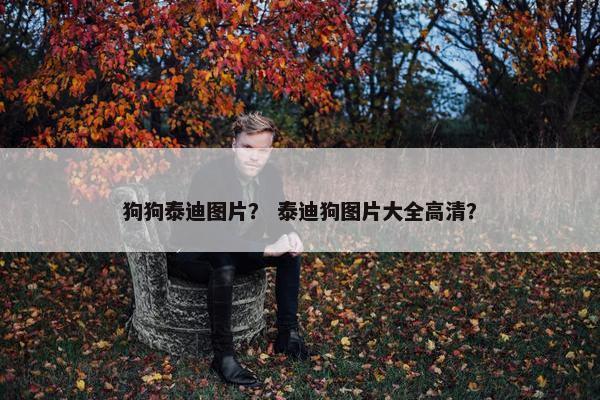 狗狗泰迪图片？ 泰迪狗图片大全高清？