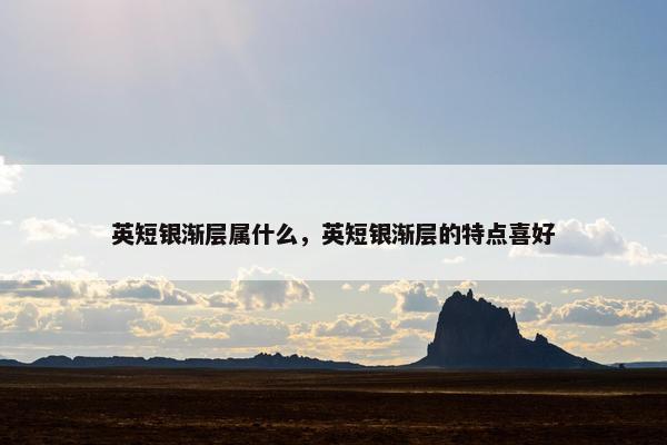 英短银渐层属什么，英短银渐层的特点喜好