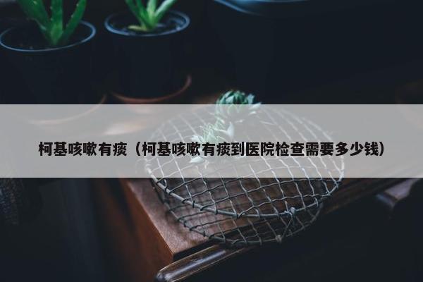 柯基咳嗽有痰（柯基咳嗽有痰到医院检查需要多少钱）