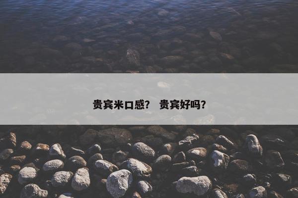 贵宾米口感？ 贵宾好吗？