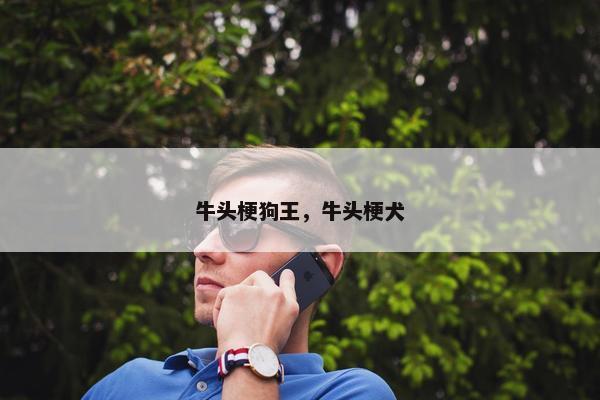 牛头梗狗王，牛头梗犬