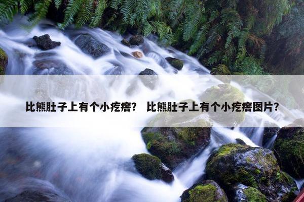 比熊肚子上有个小疙瘩？ 比熊肚子上有个小疙瘩图片？