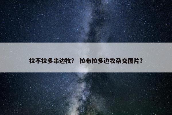 拉不拉多串边牧？ 拉布拉多边牧杂交图片？