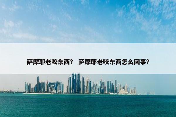 萨摩耶老咬东西？ 萨摩耶老咬东西怎么回事？